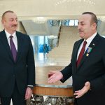 Prezident Türkiyəyə Azərbaycan vətəndaşlarının Çindən təxliyəsinə görə təşəkkür etdi