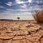 Azərbaycanda quraqlıq gözlənilir: Coğrafiya İnstitutundan XƏBƏRDARLIQ