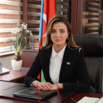 Könül Nurullayeva: “Paşinyanın özünümüdafiəsi Ermənistanda böhranı dərinləşdirir”