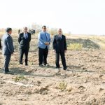 Naxçıvanda şəhidlərin xatirəsinə ağaclar əkilib