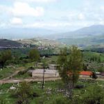 İşğal olunmuş Şuşada məskunlaşan ermənilərin 80 faizi qaçıb