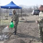 Prezident İlham Əliyev və birinci xanım Zəngilanda çinar ağacları əkiblər